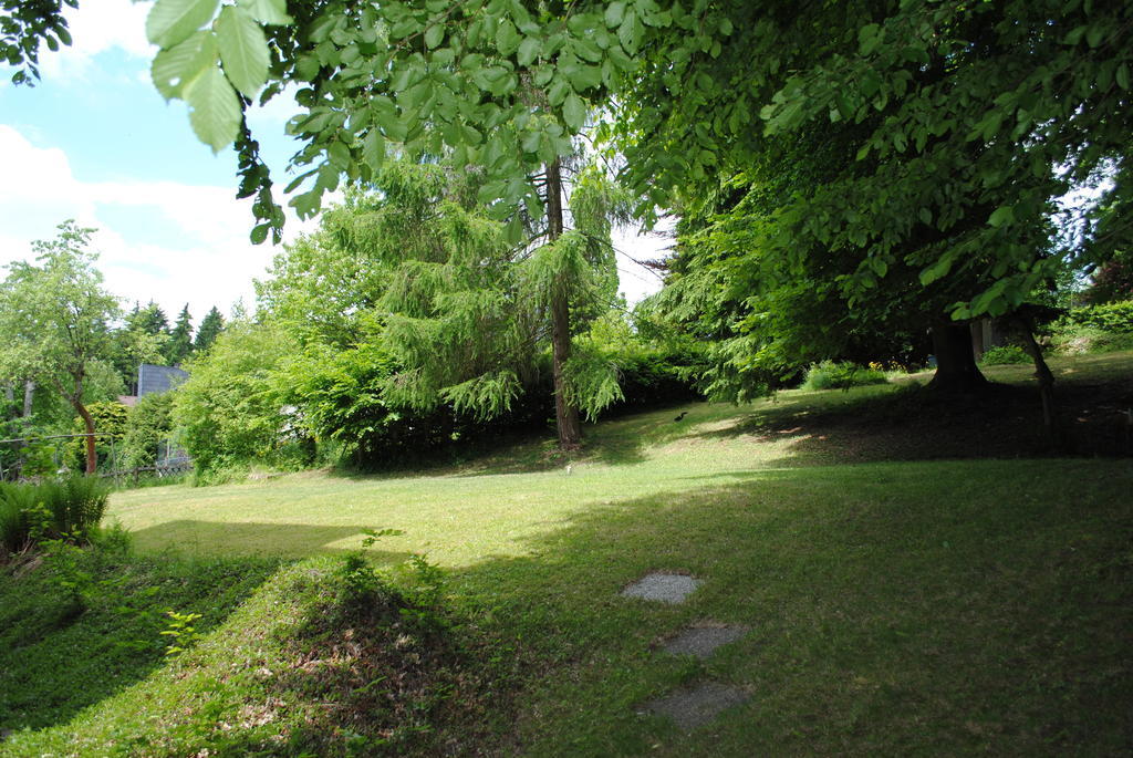 Panorama Hotel Pension Frohnau Bad Sachsa Værelse billede