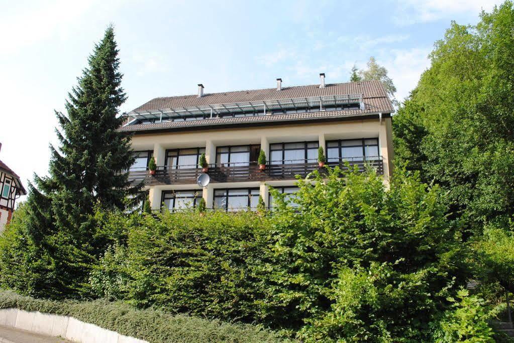 Panorama Hotel Pension Frohnau Bad Sachsa Eksteriør billede