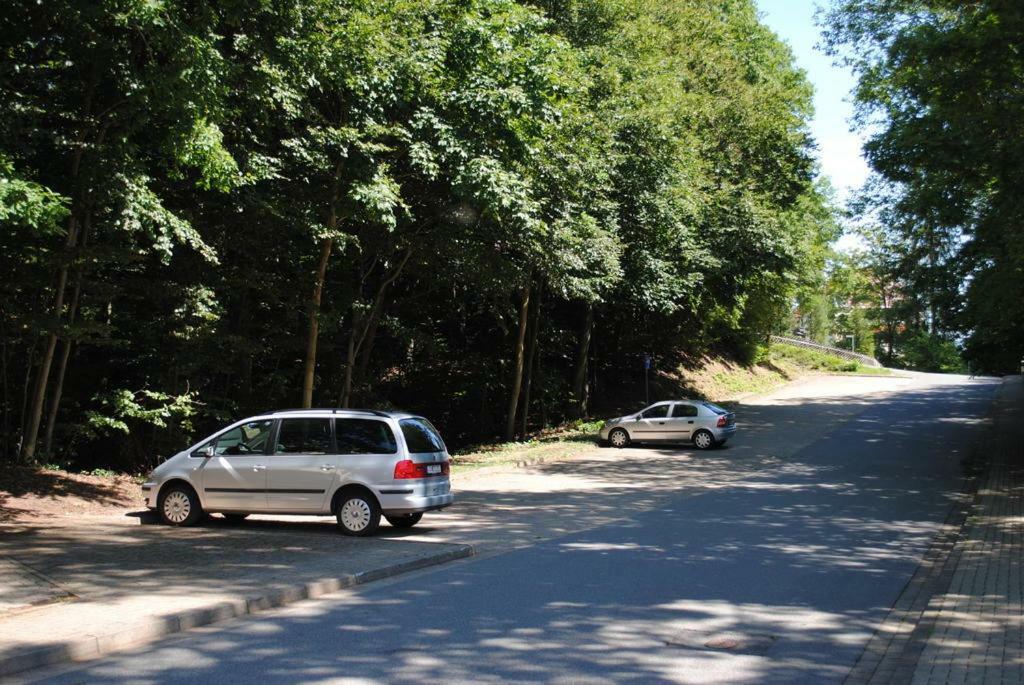 Panorama Hotel Pension Frohnau Bad Sachsa Eksteriør billede